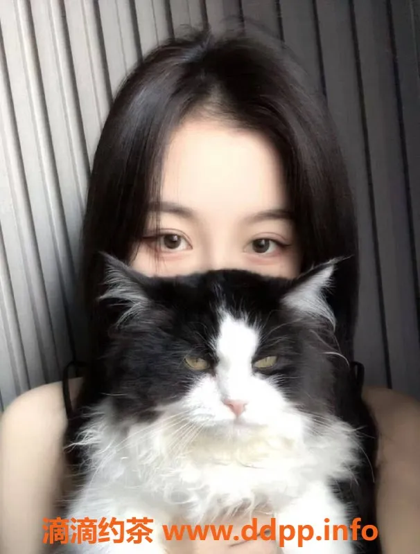 广州楼凤资源信息,海珠小可爱，课费600，青春活力满满