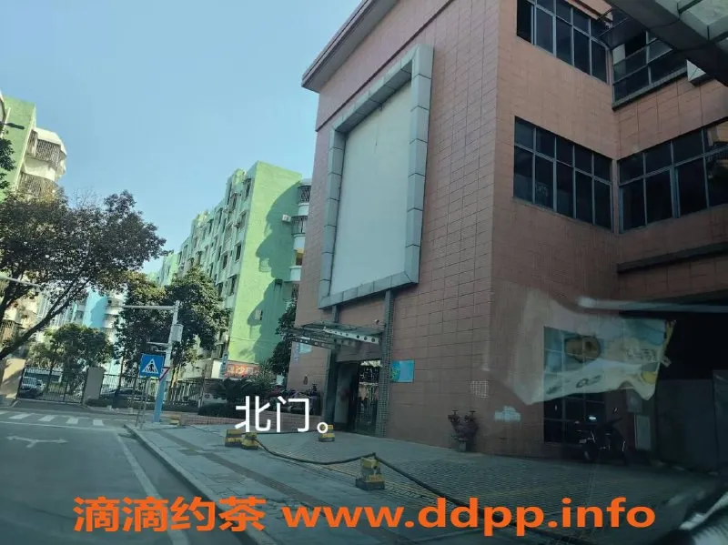 中山楼凤资源信息,西区精彩快餐300，洗吹做400体验