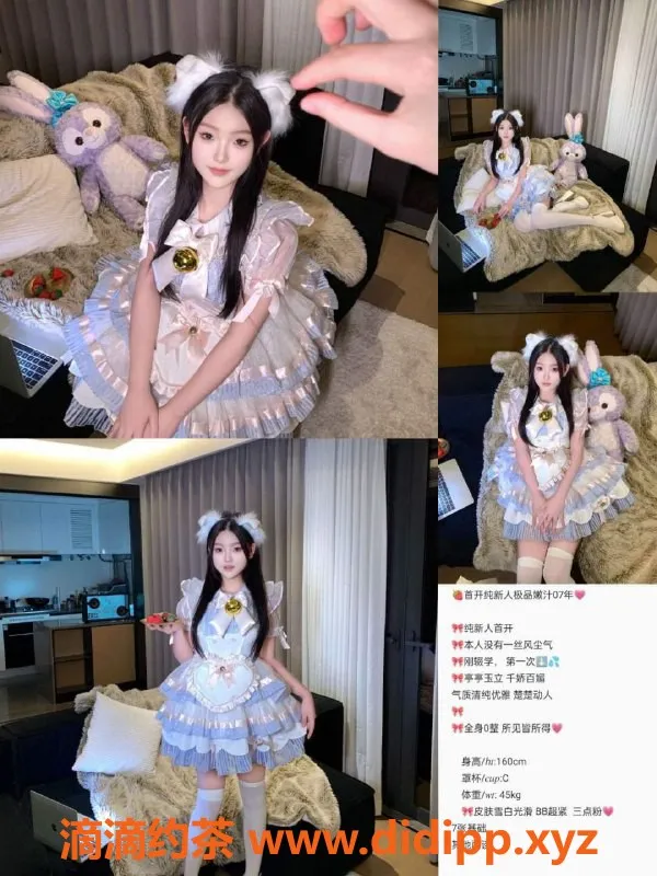 天津楼凤-和平中心公寓双向机器人服务体验