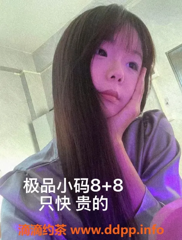 中山楼凤-江门外海快餐服务，价格超划算！