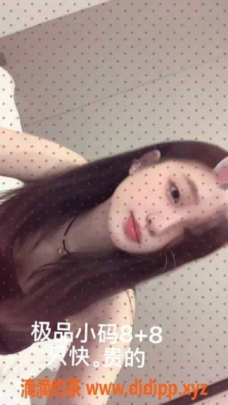 中山楼凤-江门外海快餐服务，价格超划算！