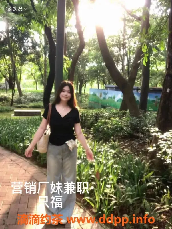 中山楼凤-江门外海快餐服务，价格超划算！