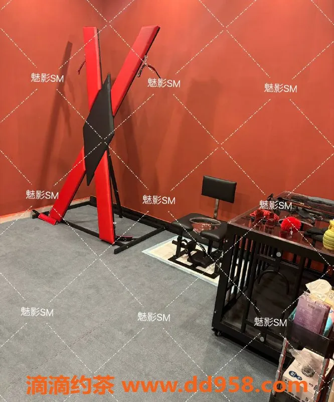 广州spa会所-广州天河高端SM调教，688元起，专属体验