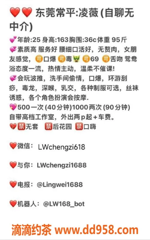 东莞楼凤-常平凌薇，超值服务仅需500元！