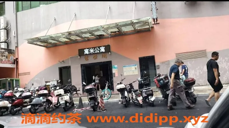 中山楼凤-西区快餐服务，价格300起，欢迎体验