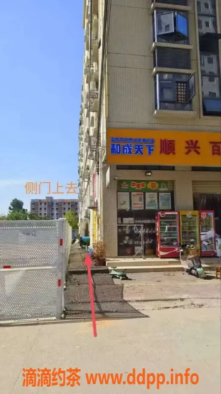 中山楼凤-板芙新晋凤姐，300快餐，服务超赞