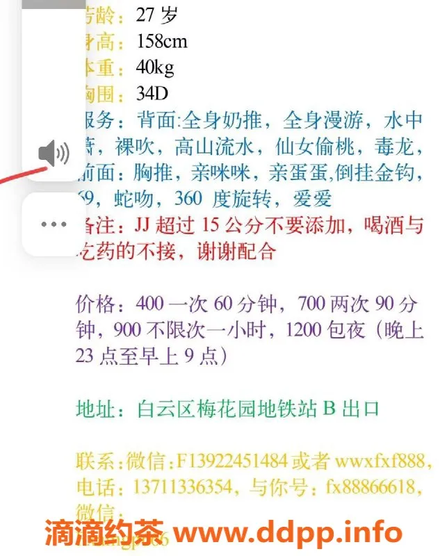 广州楼凤-灵灵 - 广州白云艳丽佳人，400元起