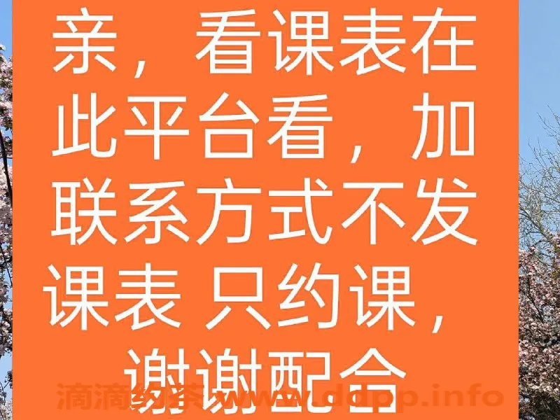 北京楼凤-丰台宋家庄菲菲，160cm，C+罩杯，茶费6