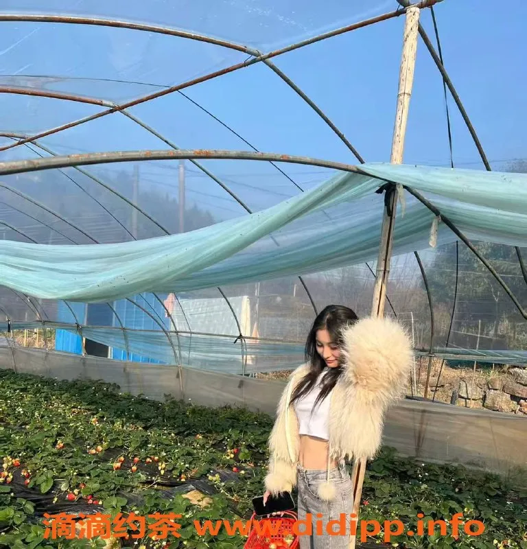 湛江楼凤-湛江嫩妹柠檬，700元尽享服务