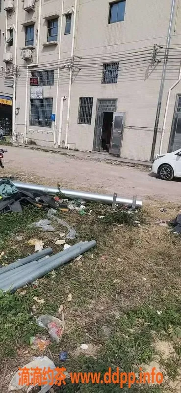 中山楼凤-板芙地区优质服务，300快餐，400洗吹做