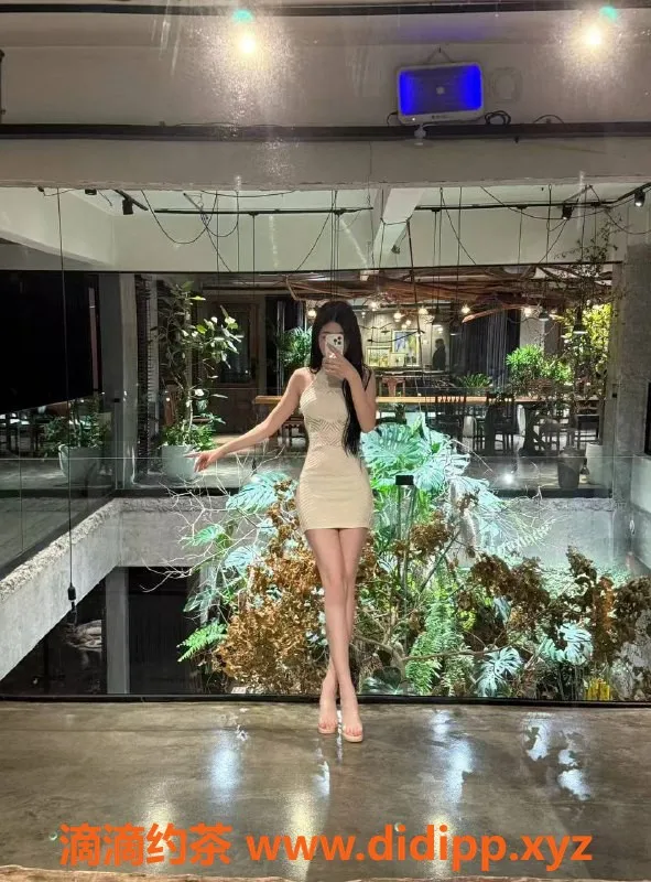 深圳楼凤-福田御姐千纯，价格1000元起