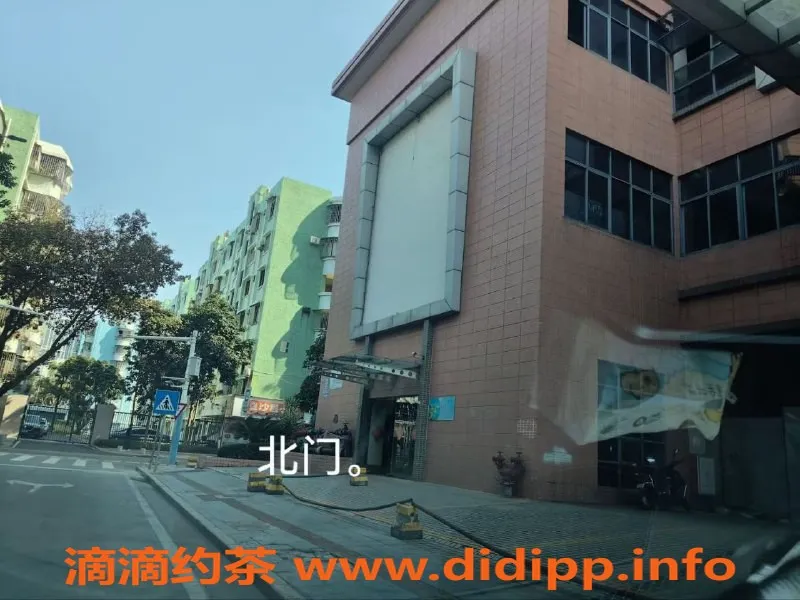 中山楼凤-西区高品质服务，快餐仅300元