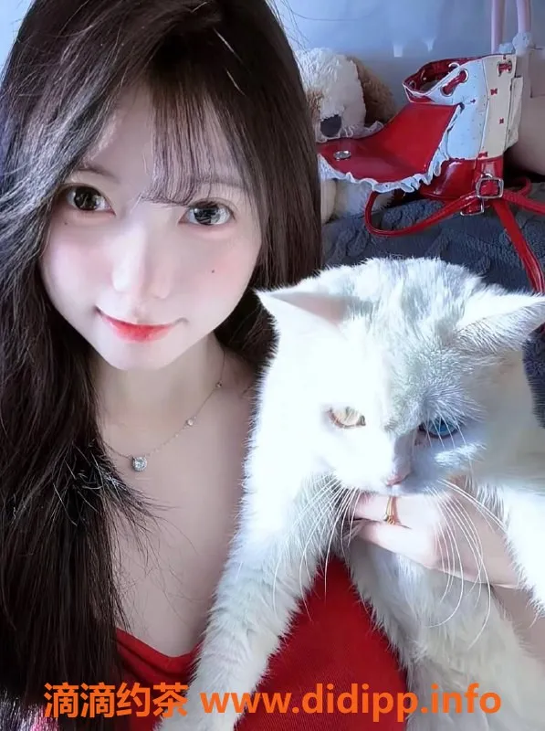 广州楼凤资源信息,番禺贝贝，已视频验证，服务优质，600元体验