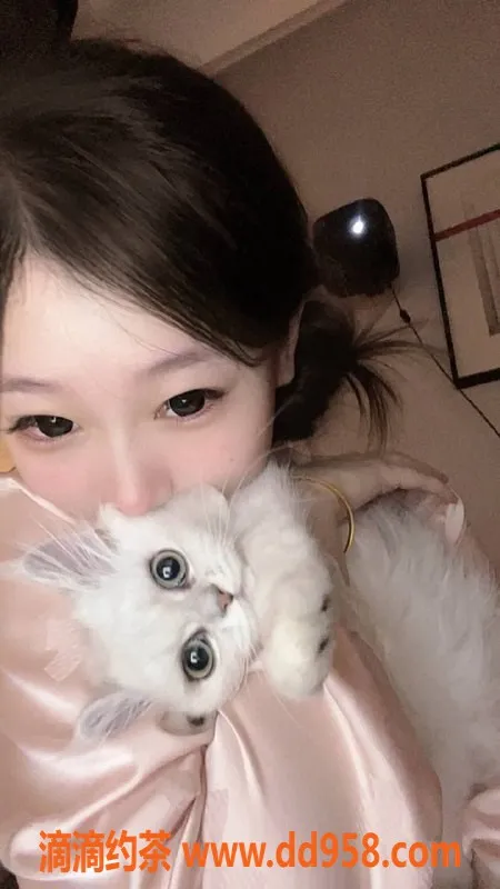 深圳楼凤-南山小狐狸，1400元体验极致服务