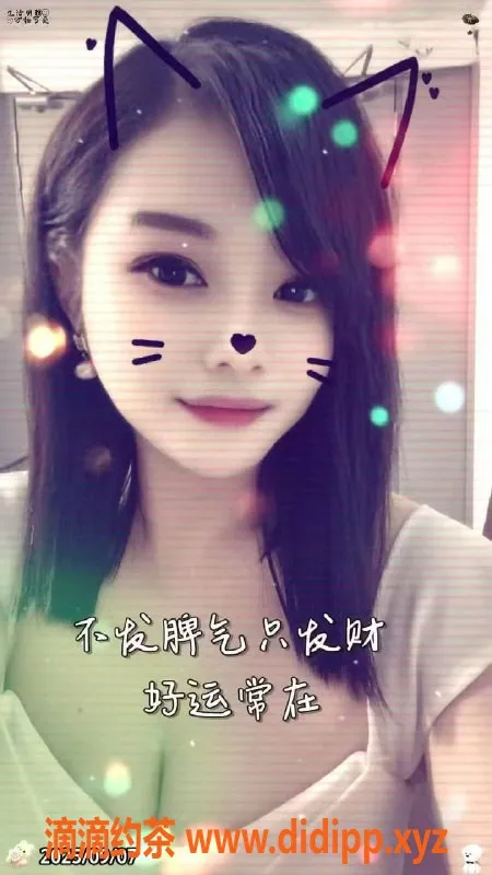 中山楼凤-火炬区域优质服务，快餐300元起