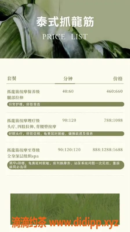 广州抓龙筋-广州海珠荔枝，服务460起，超高性价比