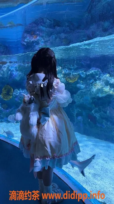 成都楼凤资源信息,成华区萝莉沫沫，颜值高，服务优！