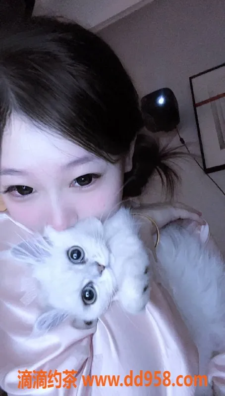 深圳楼凤-南山小狐狸，162cm 48kg，1400起步