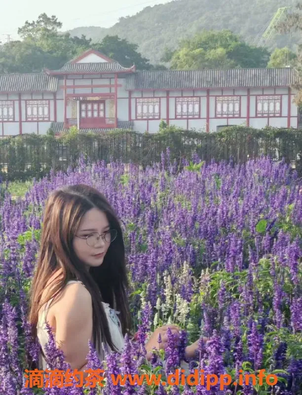 中山楼凤-东凤魅力双胞胎，300快餐服务任你选