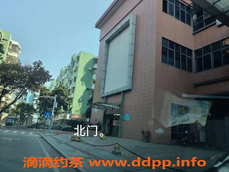 中山楼凤资源信息,西区艺名服务，300元快餐，650元全套