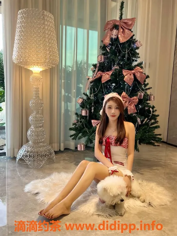 中山楼凤-东区雯静 25岁 B+胸 课程700元起