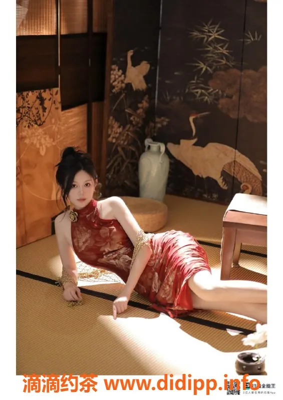 赣州楼凤-茶艺师柳儿，赣州章贡区全套服务700元