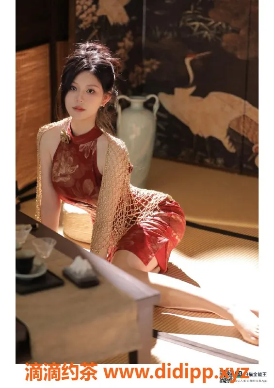 赣州楼凤-茶艺师柳儿，赣州章贡区全套服务700元