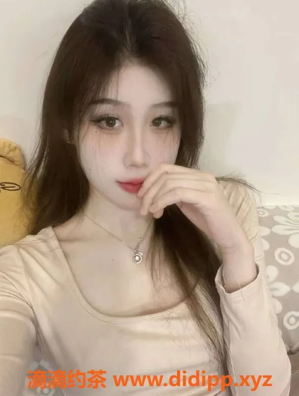 中山楼凤-南头优质快餐服务，价格300元起