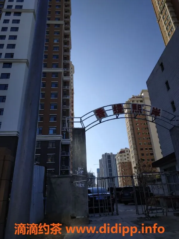 烟台楼凤-福山区 香缇熙岸 碗音 反馈