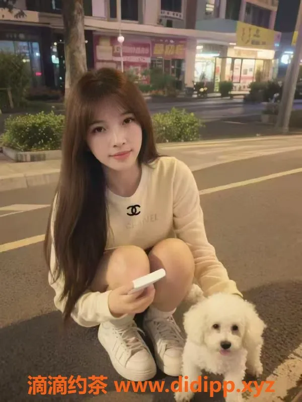 中山楼凤-港口地区高品质快餐服务体验