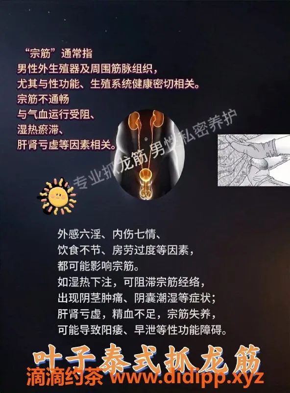 中山抓龙筋-叶子 泰式抓龙筋 沙溪 课时灵活 人气爆棚