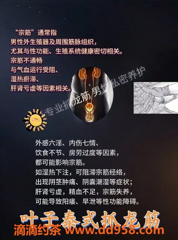 中山抓龙筋-沙溪叶子，泰式抓龙筋，颜值9.14，服务超赞