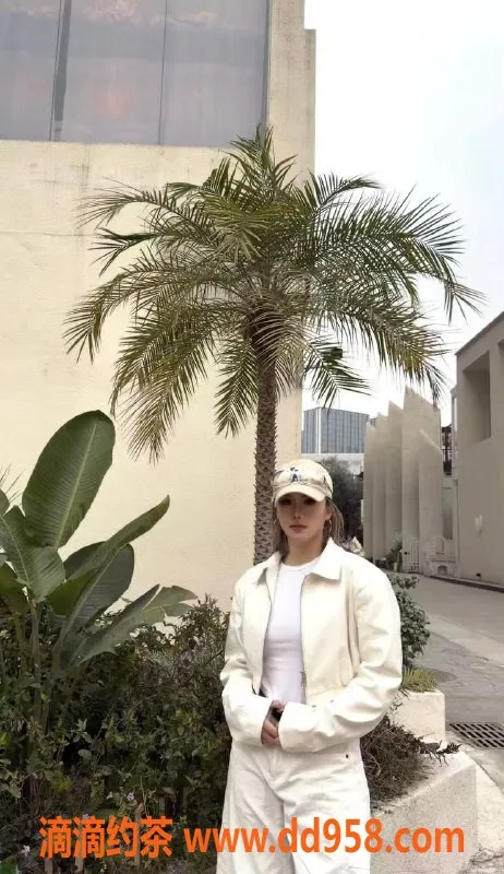 成都楼凤-锦江区阿朱御姐车，颜值超高服务项目多