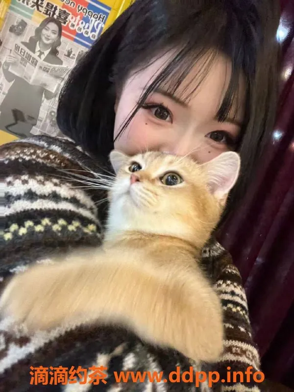 沈阳楼凤-甘井子区沉香嫩妹，800元起，服务佳