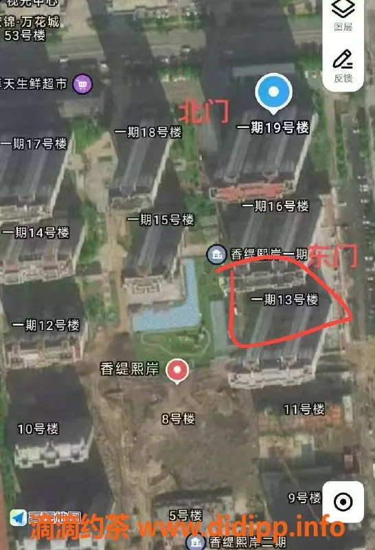 烟台楼凤-福山草莓，香缇熙岸明星，温柔体贴