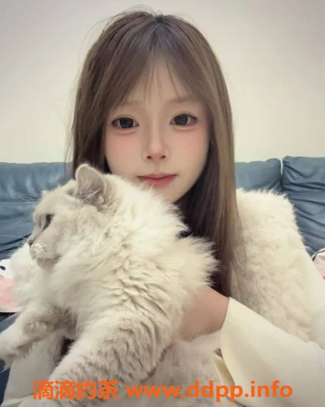 深圳楼凤-深圳宝安婉婉，1600pp身心畅享