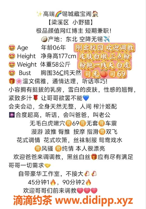 无锡楼凤-梁溪区小野猫，高颜值丝袜制服服务