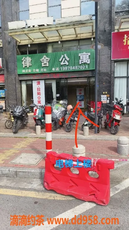 中山楼凤-大良高质量快餐，轻松享受300起