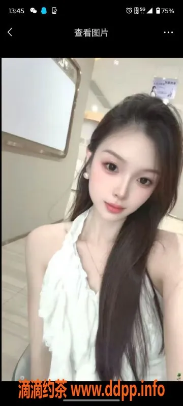 中山楼凤-石岐地区优质快餐服务，300元起