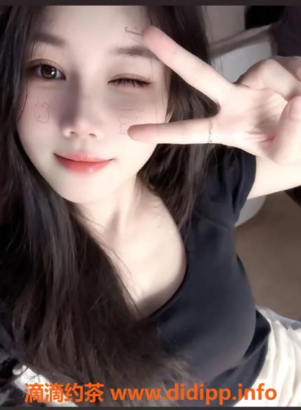 中山楼凤-东凤高品质快餐服务，300元起