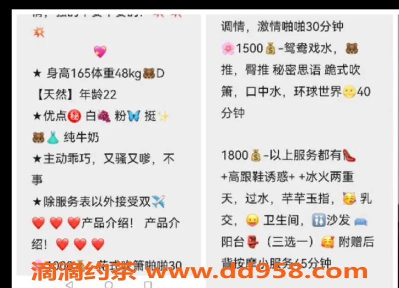 烟台楼凤-威海田田车模，基础修车10起！