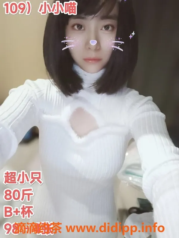 嘉兴上门服务资源信息,南湖小小喵 400元快餐服务