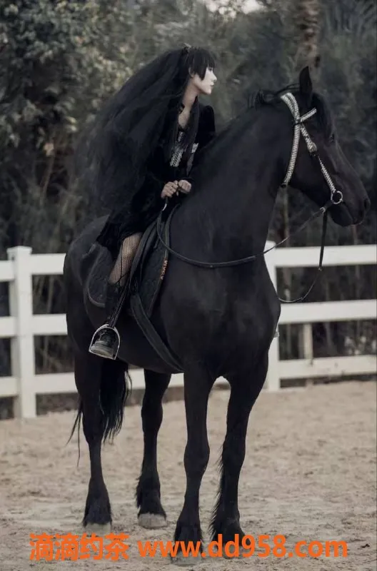 郑州楼凤-二七区宁宁SM，21岁165cm，服务多样仅8元起