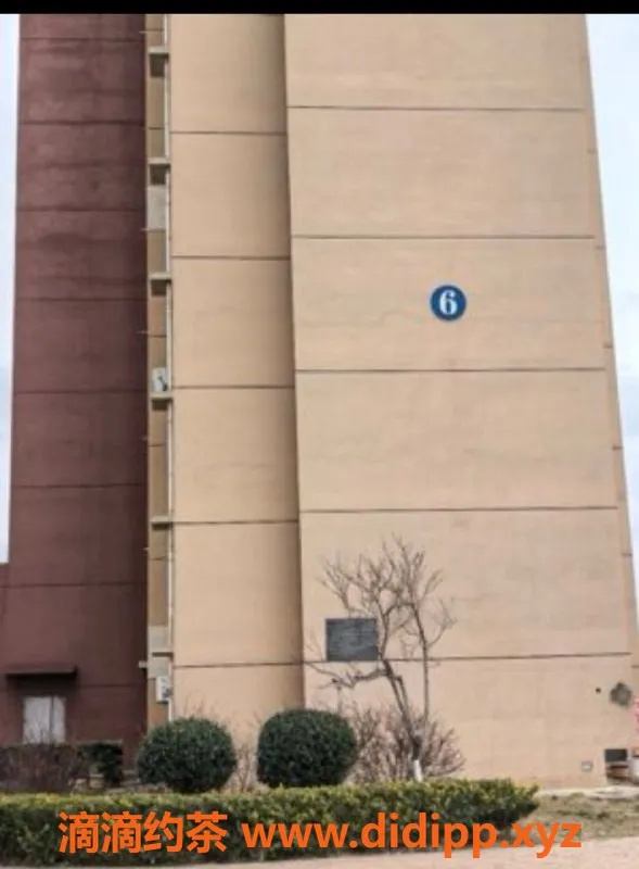 烟台楼凤-开发区欢欢，身材火辣，期待你的光临！