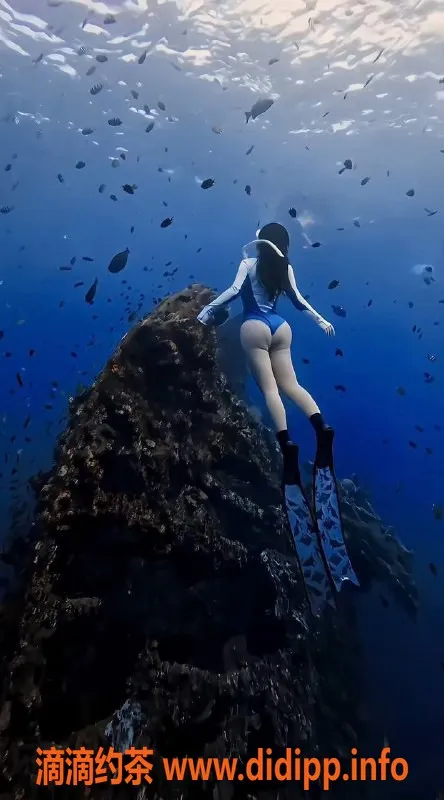 深圳楼凤资源信息,【佳人名称】 #灵汐
【佳人牌号】: 【佳人