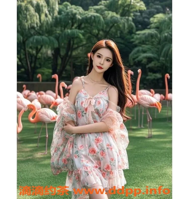 天津楼凤资源信息,滨海新区光耀东方麻雀服务推荐