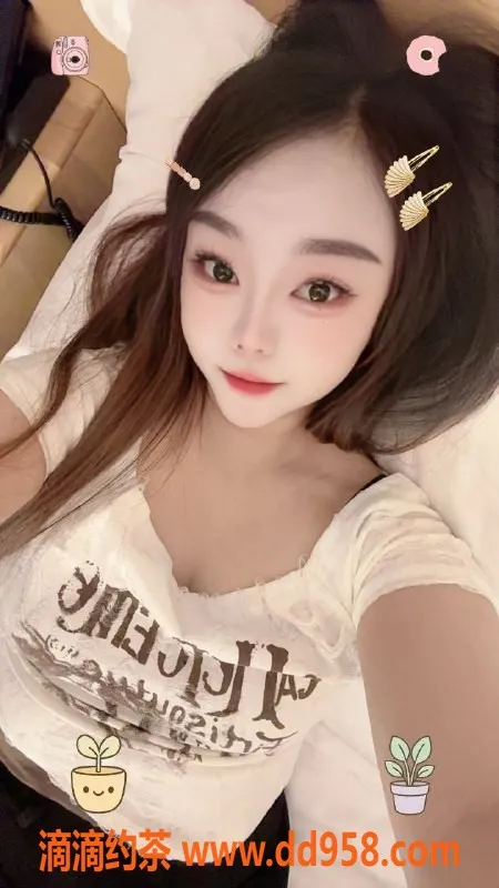 中山楼凤-东凤快餐服务，价格实惠，双重选择来体验