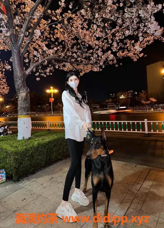 潍坊楼凤资源信息,潍城区佳一，168cm 98斤 25岁，600元带工作室服务