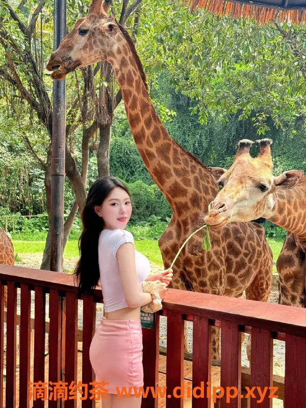 深圳楼凤-深圳草莓在职护土，服务项目丰富，4000P体验