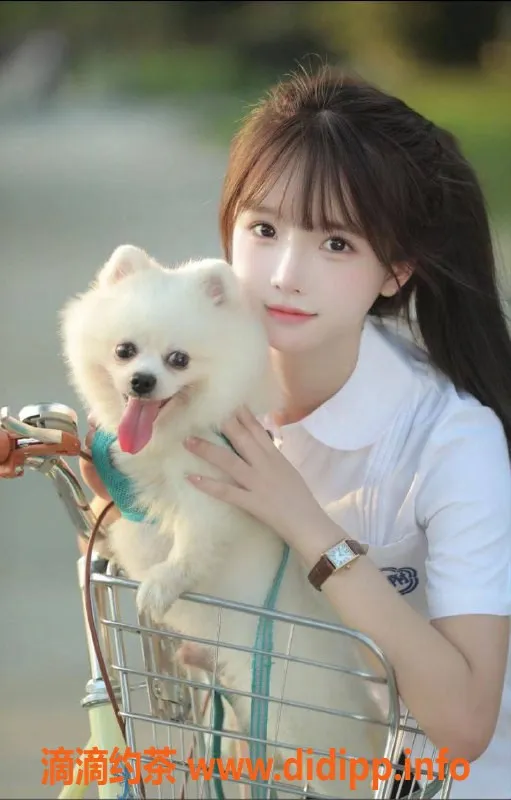 上海外围-上海WW001：服务多样，价格1800-2500元